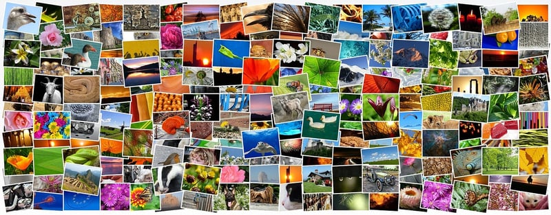 Collage Making